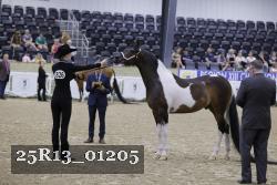 25R13_01205 thumbnail