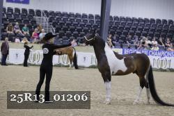 25R13_01206 thumbnail