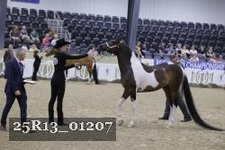 25R13_01207 thumbnail