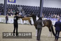 25R13_01208 thumbnail