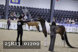25R13_01209 thumbnail