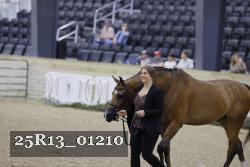 25R13_01210 thumbnail