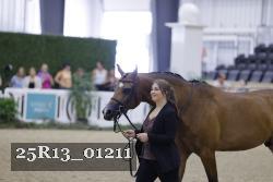 25R13_01211 thumbnail