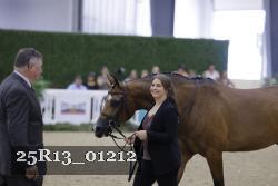 25R13_01212 thumbnail