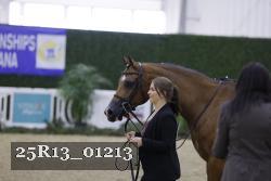 25R13_01213 thumbnail