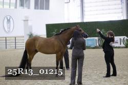 25R13_01215 thumbnail