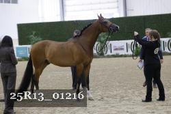25R13_01216 thumbnail