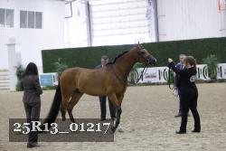 25R13_01217 thumbnail