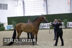 25R13_01218 thumbnail