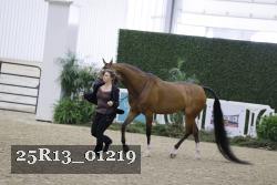 25R13_01219 thumbnail