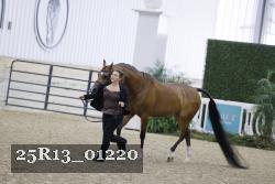 25R13_01220 thumbnail