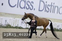 25R13_01221 thumbnail