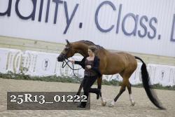 25R13_01222 thumbnail