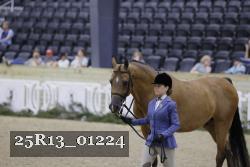 25R13_01224 thumbnail