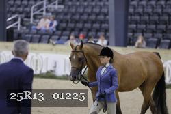 25R13_01225 thumbnail