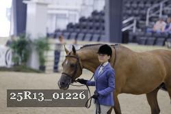 25R13_01226 thumbnail