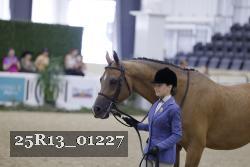 25R13_01227 thumbnail