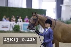 25R13_01228 thumbnail
