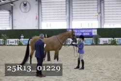25R13_01229 thumbnail