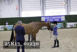 25R13_01230 thumbnail