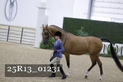 25R13_01231 thumbnail