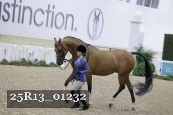 25R13_01232 thumbnail