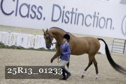 25R13_01233 thumbnail