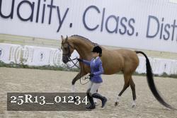 25R13_01234 thumbnail