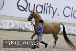 25R13_01235 thumbnail