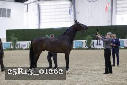25R13_01262 thumbnail