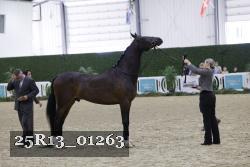 25R13_01263 thumbnail