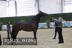 25R13_01264 thumbnail