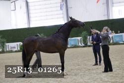25R13_01265 thumbnail