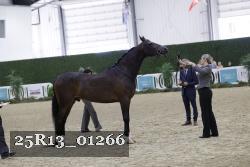 25R13_01266 thumbnail