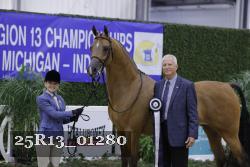 25R13_01280 thumbnail