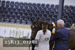25R13_01281 thumbnail