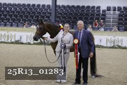 25R13_01283 thumbnail