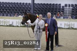 25R13_01284 thumbnail