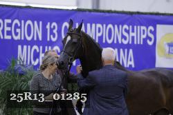 25R13_01285 thumbnail