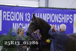 25R13_01286 thumbnail