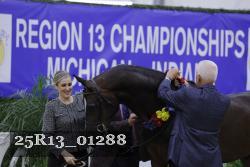25R13_01288 thumbnail