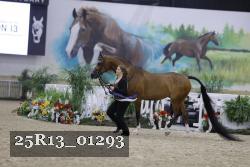 25R13_01293 thumbnail