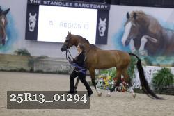25R13_01294 thumbnail