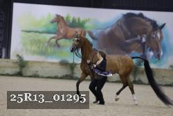 25R13_01295 thumbnail