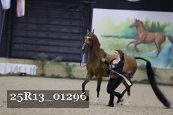 25R13_01296 thumbnail