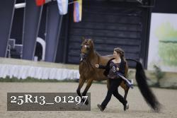 25R13_01297 thumbnail