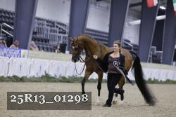 25R13_01298 thumbnail