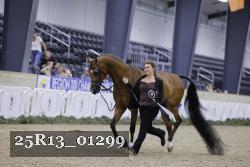 25R13_01299 thumbnail