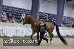 25R13_01300 thumbnail