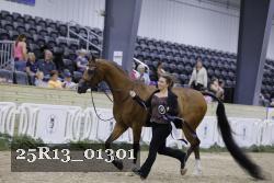 25R13_01301 thumbnail